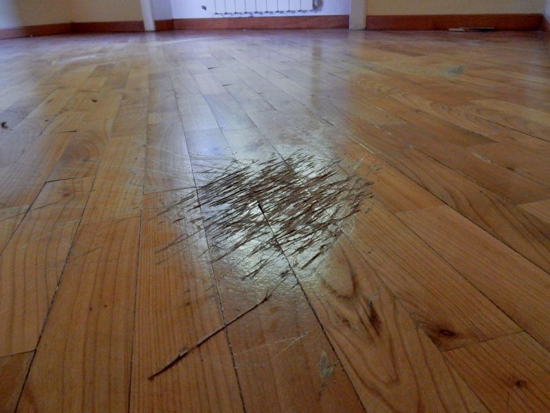 Floor Varnishing in Olathe, KS