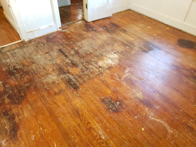 Restored Hardwood Floor