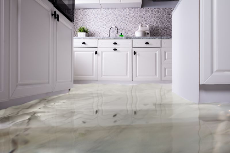 Water Damaged Floor Service