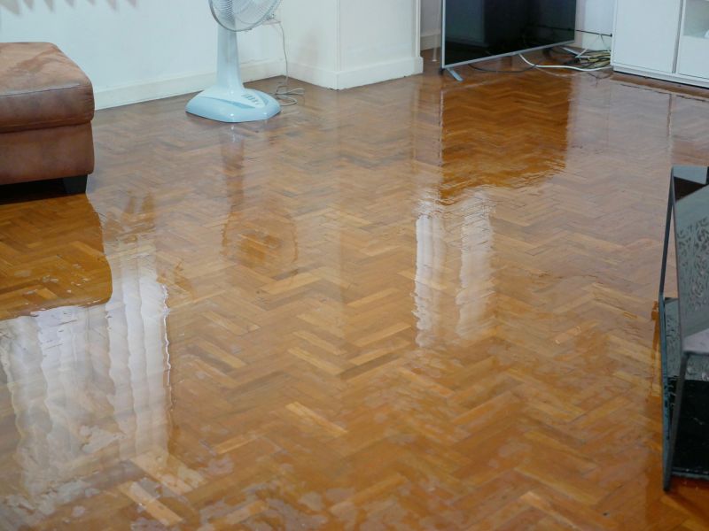 Water Damaged Floor Service
